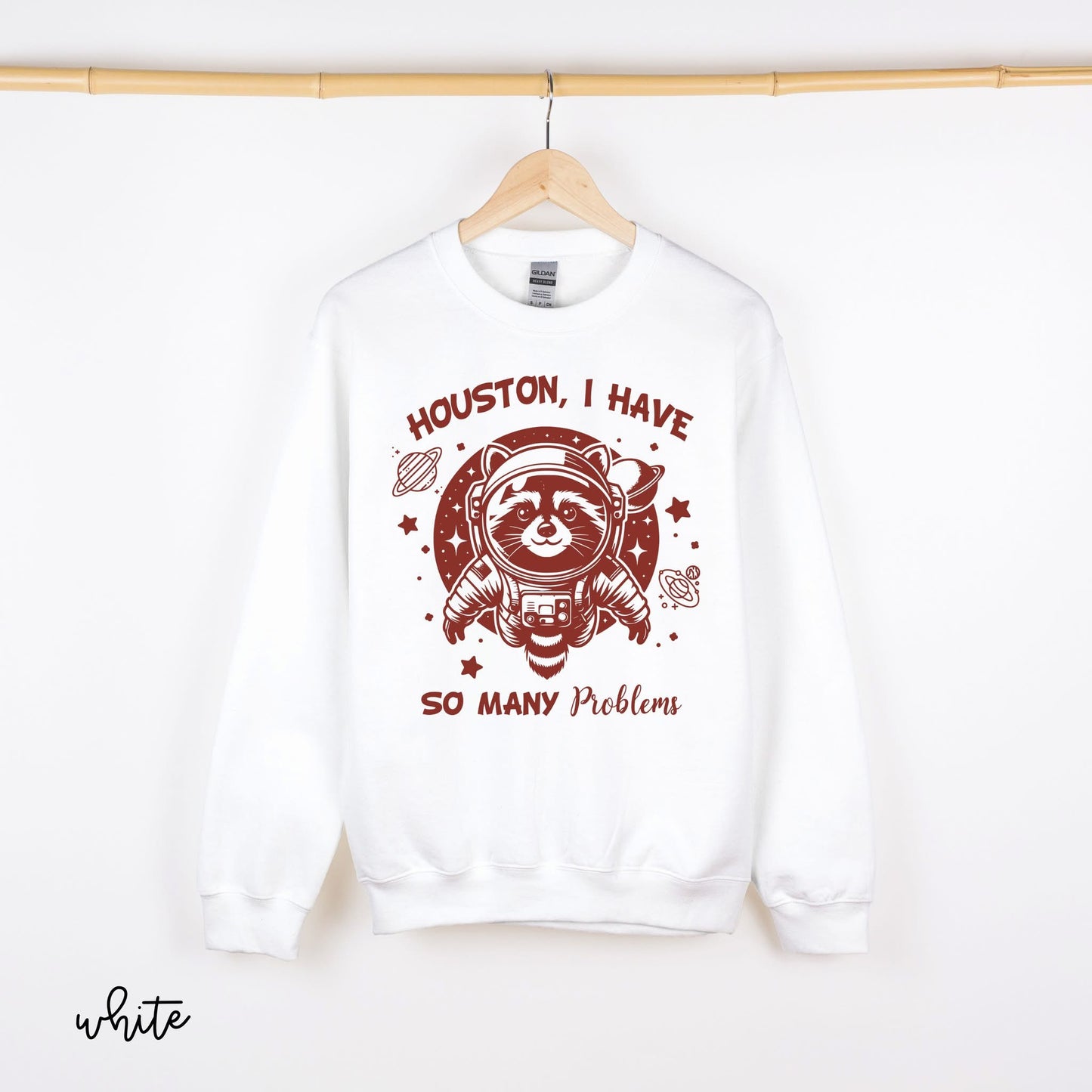 Houston I Have So Many Problems DTF Transfer