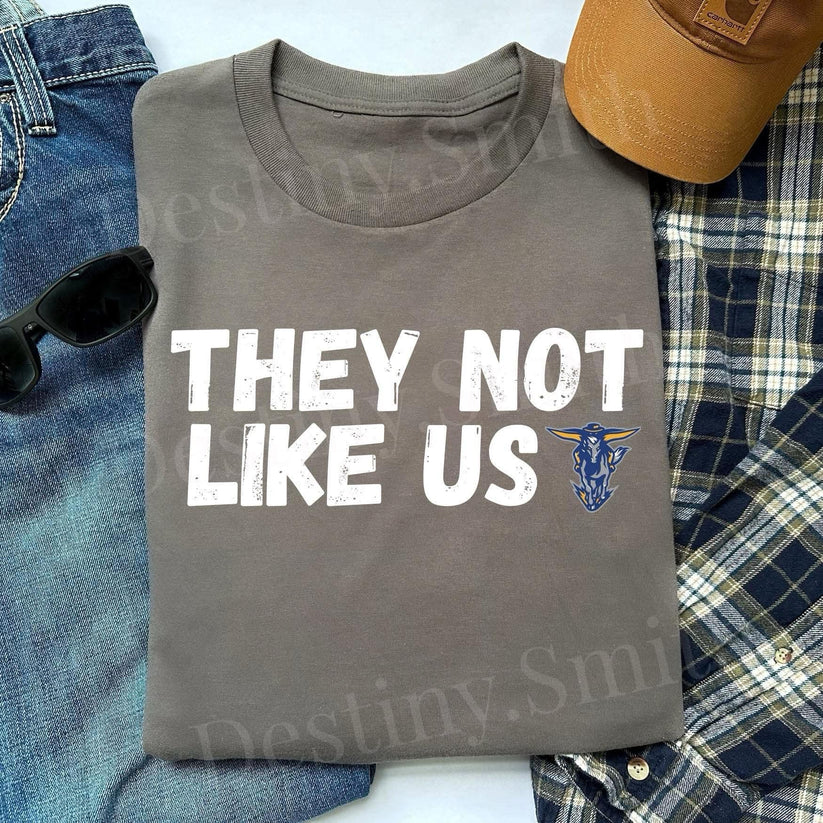 They not like us DTF Transfer