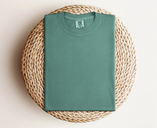 Light Green Comfort Color 1717