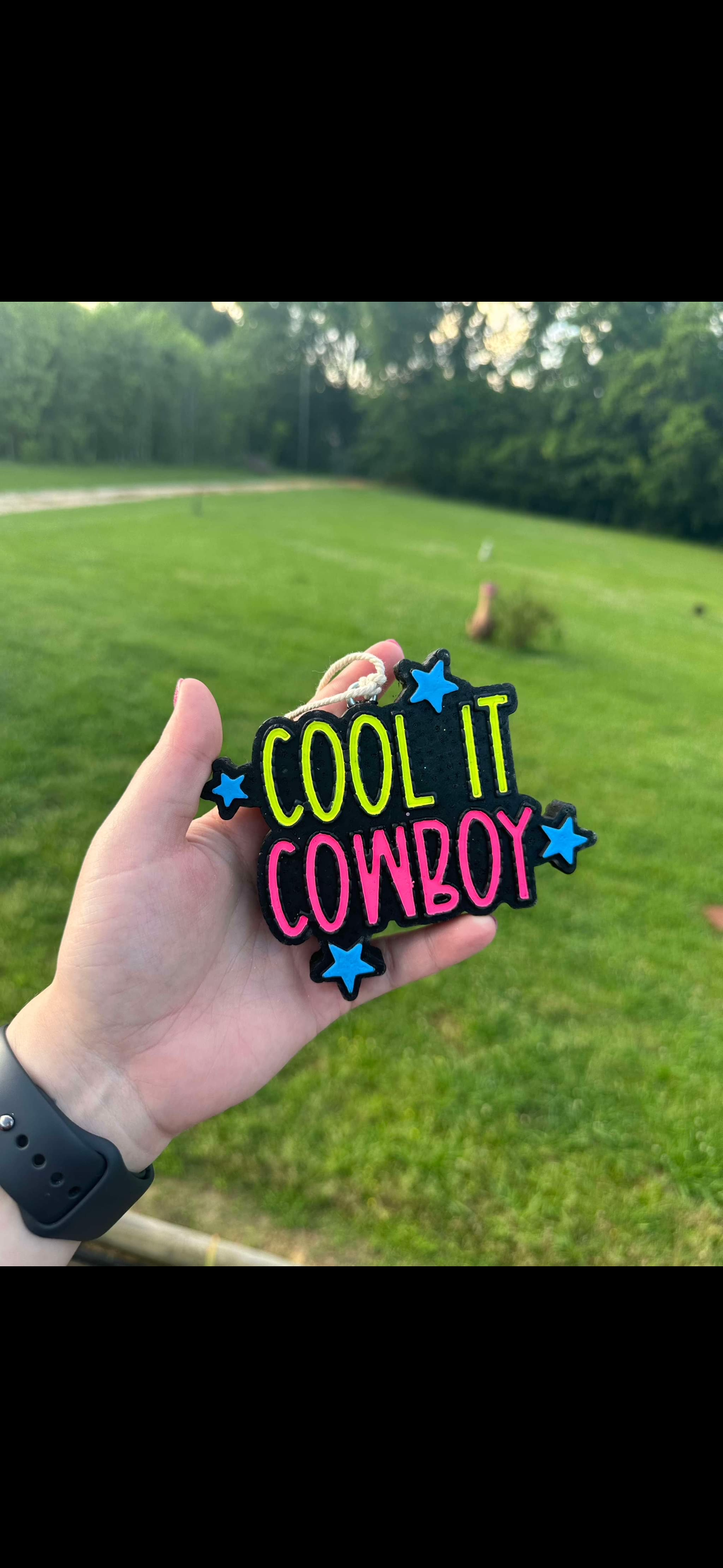 Cool It Cowboy Car Freshie