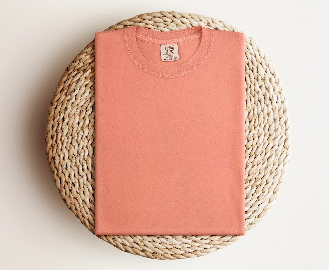 Terracotta Comfort Color 1717