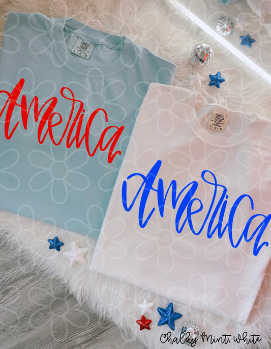 America (Multiple Options, colors) DTF Transfer