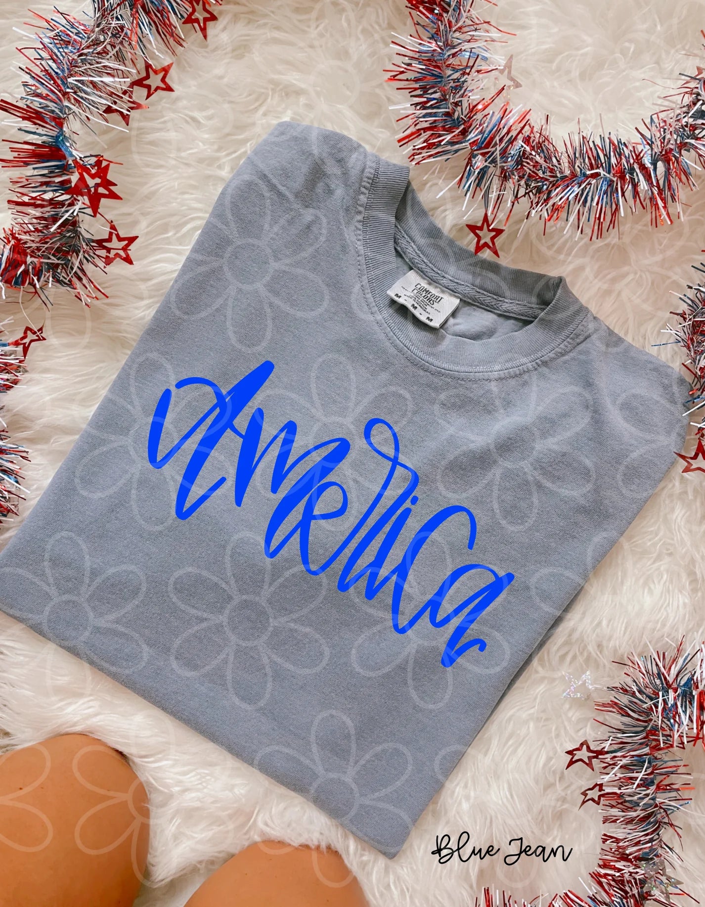 America (Multiple Options, colors) DTF Transfer