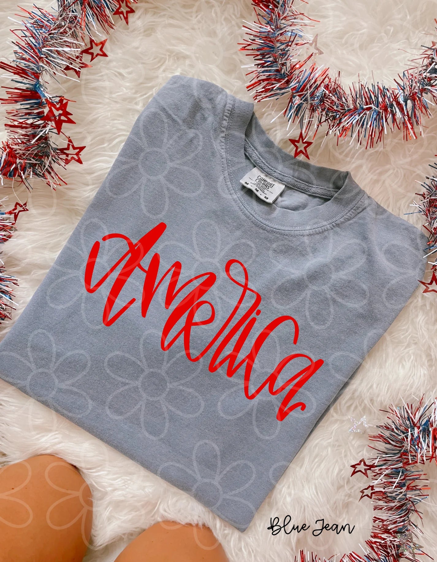 America (Multiple Options, colors) DTF Transfer