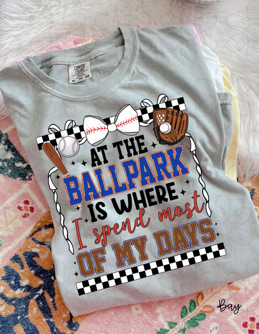 At The Ballpark Is Where I Spend Most Of My Days DTF Transfer