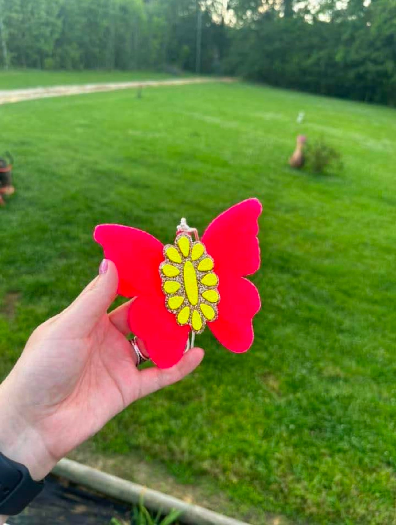 Butterfly Concho Car Freshie