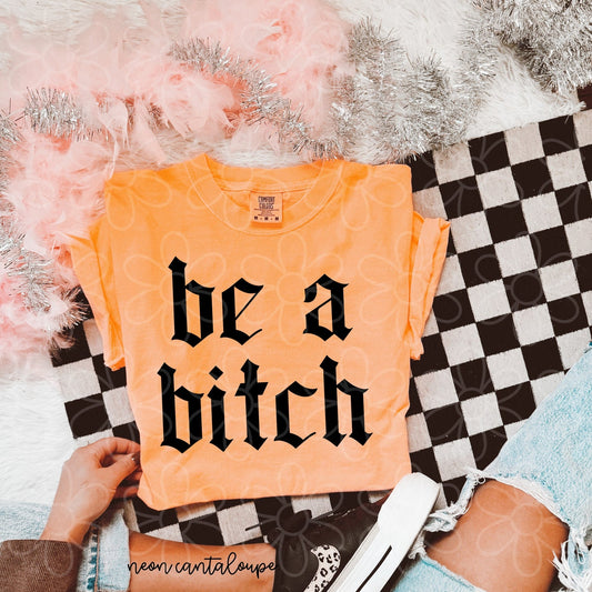 Be A Bitch DTF Transfer