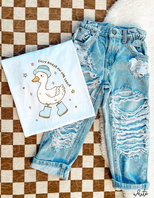 Boy Silly Goose On The Loose DTF Transfer