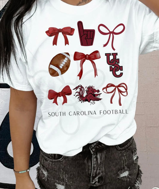 ‘South Carolina Football’ 🏈 DTF Transfer Only