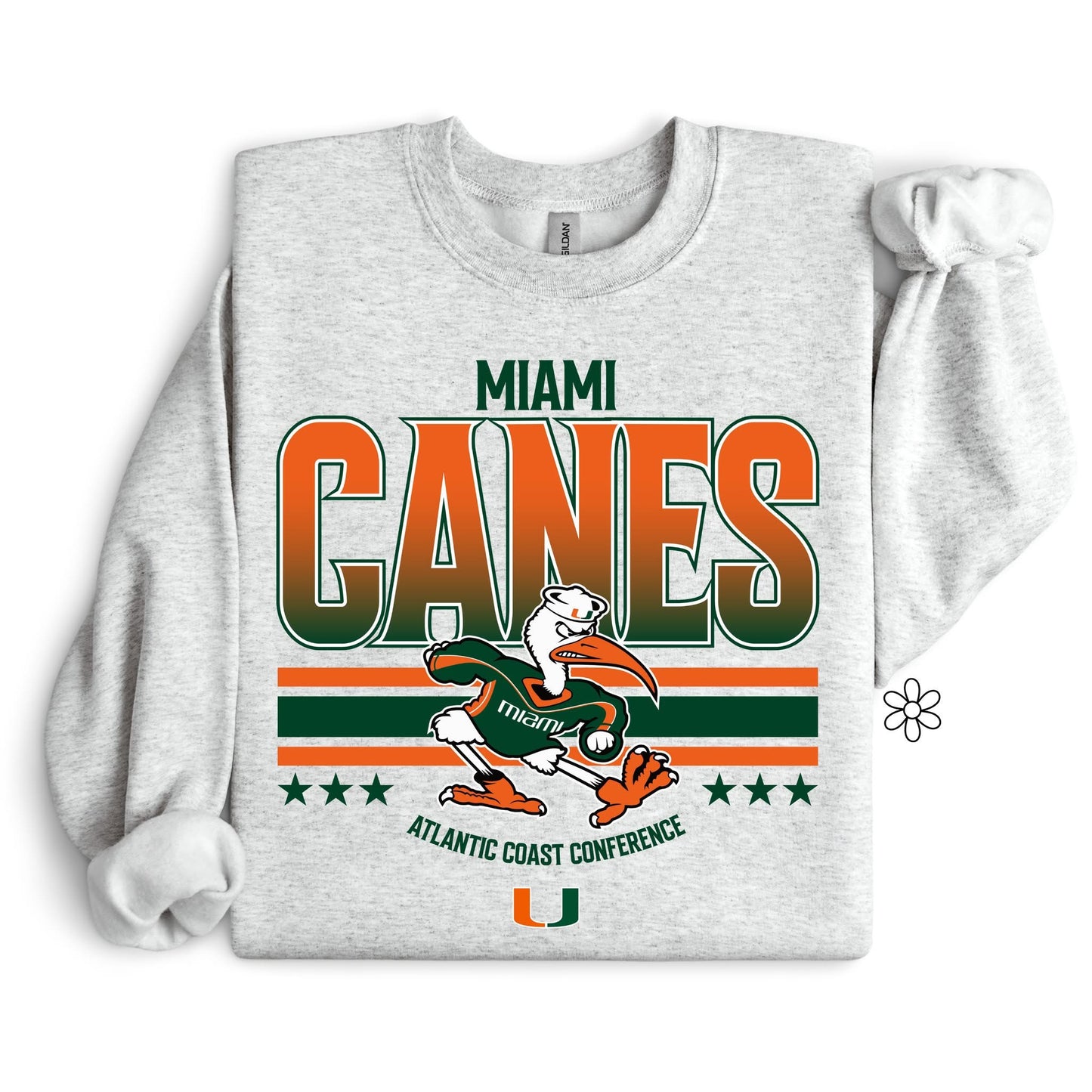 Retro College Teams (multiple options) DTF Transfer Only