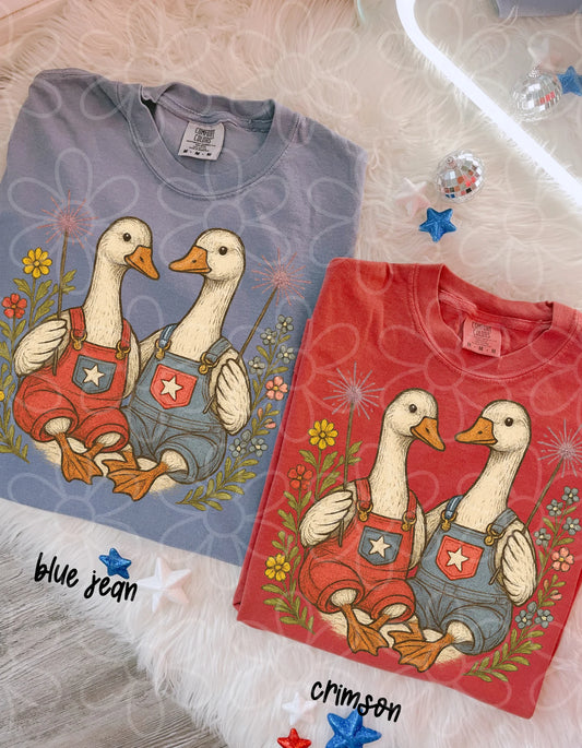 Geese Sparklers DTF Transfer