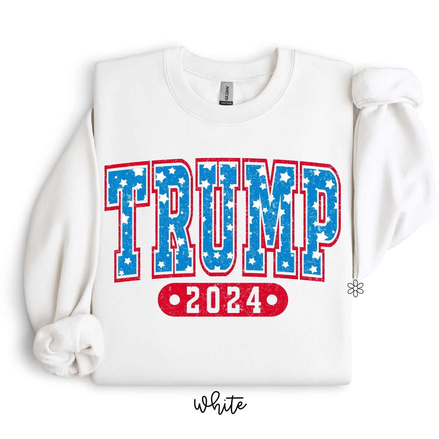 Star Trump 2024 DTF Transfer