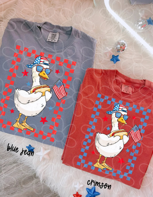 Patriotic Goose Sunglasses And Hat DTF Transfer