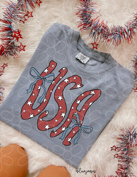 Retro USA Red DTF Transfer