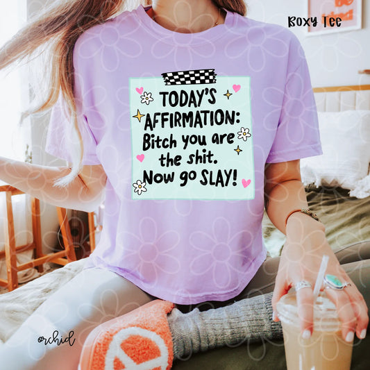 Todays Affirmation Bitch You Are The Shit Now Go Slay DTF Transfer